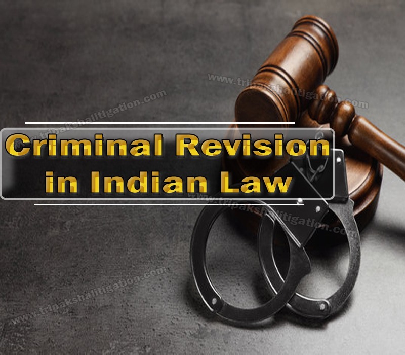 dissertation on criminal law in india pdf