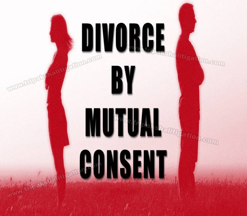 Best Divorce Lawyer | Divorce Lawyer in Delhi | Divorce lawyer Contact number | Mutual Consent Divorce