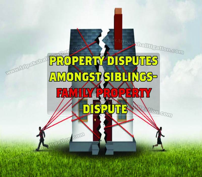 Property Disputes Amongst Siblings-Family Property Dispute