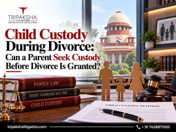 Child Custody During Divorce Can You Seek Custody